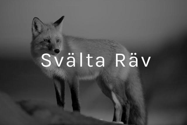 kortspel-svälta-räv-regler