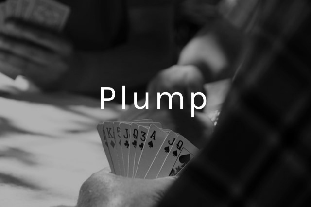 kortspelet-plump-regler